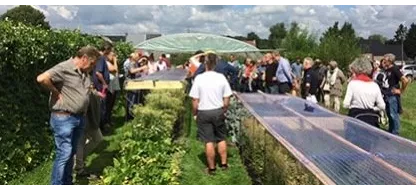 Que faire au jardin la première quinzaine d'août?