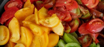 Hoe verzorgt u best tomatenplanten?