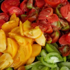 Hoe verzorgt u best tomatenplanten?