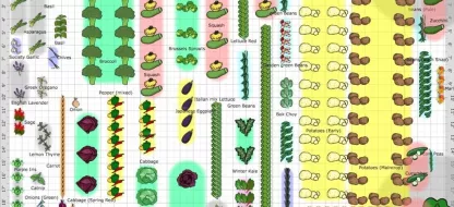 Hoe een plan voor een biomoestuin uitvoeren?