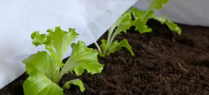 Que faire au jardin la deuxième quinzaine de mars?