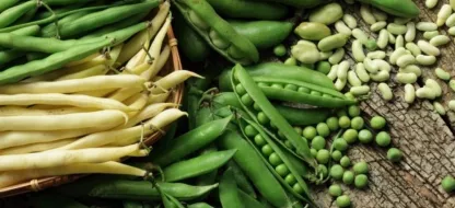 Wat doen we in de eerste helft van juni in de tuin?