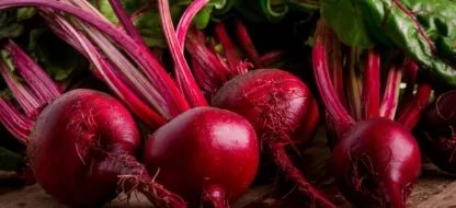 Wat doen we in de tweede helft van juni in de tuin?