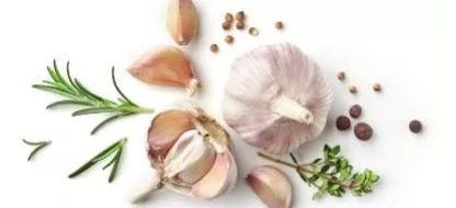 De gezondheidsvoordelen van knoflook, een ondergewaardeerd feit in België en Nederland