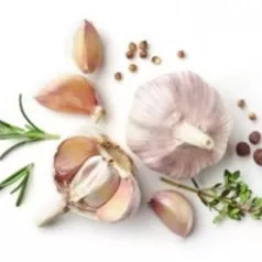 De gezondheidsvoordelen van knoflook, een ondergewaardeerd feit in België en Nederland De gezondheidsvoordelen van knoflook, een ondergewaardeerd feit in België en Nederland