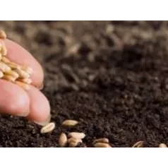 Calendrier des semis & récoltes : réussir votre potager en Belgique ou en France Calendrier des semis & récoltes : réussir votre potager en Belgique ou en France