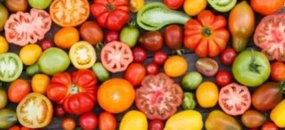 Les tomates : nos variétés française