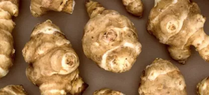 Que faire au jardin en novembre?