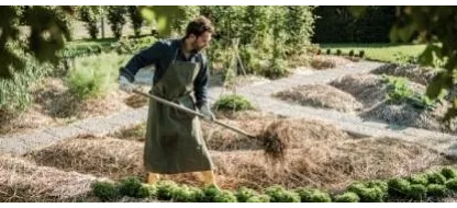 Débuter en jardinage en France : pourquoi opter pour la permaculture ?