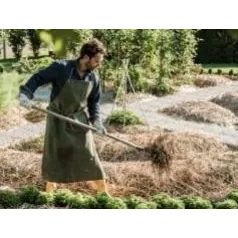 Débuter en jardinage en France : pourquoi opter pour la permaculture ?