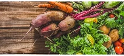 La protection du patrimoine légumier régional: l’objectif principal de Semailles