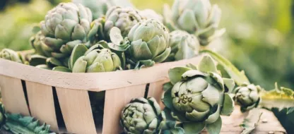 Découverte du patrimoine légumier de Bretagne et de Normandie