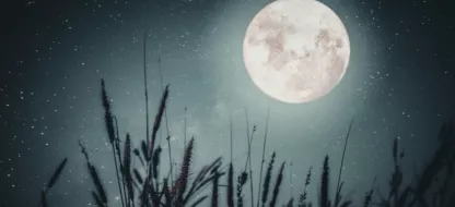 Jardiner avec la lune : pourquoi et comment ?