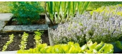 La technique de rotation des cultures en France et en Belgique