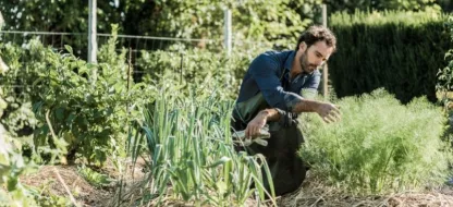 Moestuin herstellen na een moeilijk seizoen? Ontdek onze natuurlijke tips