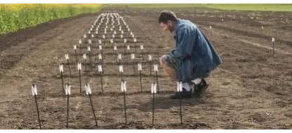 Wat is het verschil tussen biologisch reproduceerbare en hybride zaden?