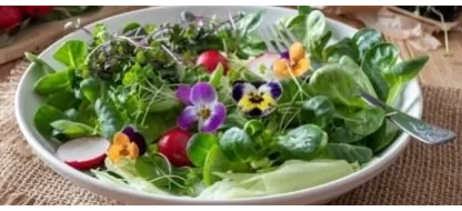 Des fleurs comestibles pour l’esthétique de votre jardin et de vos assiettes