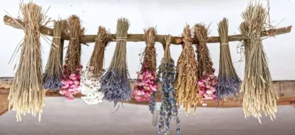 Quels aromates et fleurs utiliser pour un bouquet de fleurs séchées ? Quels aromates et fleurs utiliser pour un bouquet de fleurs séchées ?