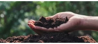 Conseils pour augmenter la qualité de vos sols naturellement