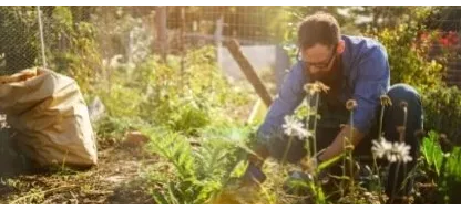 De gezondheidsvoordelen van tuinieren