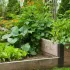 Gérer son potager en période de vacances