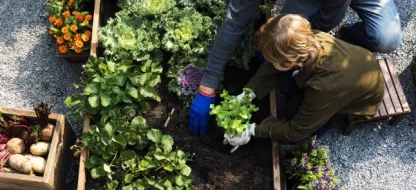 Que faire si le sol de mon potager est trop sableux ou trop argileux ?