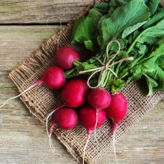 Kit semences : Mon potager d'hiver Kit semences : Mon potager d'hiver