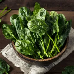 Zaadkit : Mijn wintermoestuin Zaadkit : Mijn wintermoestuin