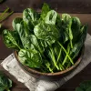 Zaadkit : Mijn wintermoestuin