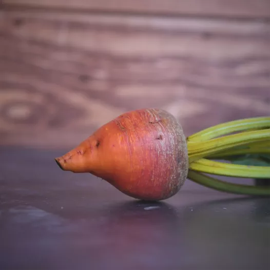 Betterave jaune Golden bio - Semailles Betterave jaune Golden bio - Semailles