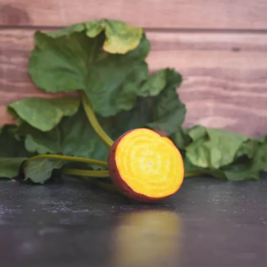 Betterave jaune Golden bio - Semailles Betterave jaune Golden bio - Semailles