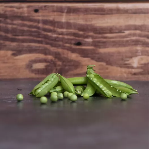 Rijsdoperwt Téléphone