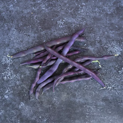 Haricot à rames mangetout à cosses violettes Haricot à rames mangetout à cosses violettes