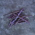 Haricot à rames mangetout à cosses violettes - Blauhilde