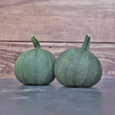 Courgette ronde de Nice Courgette ronde de Nice