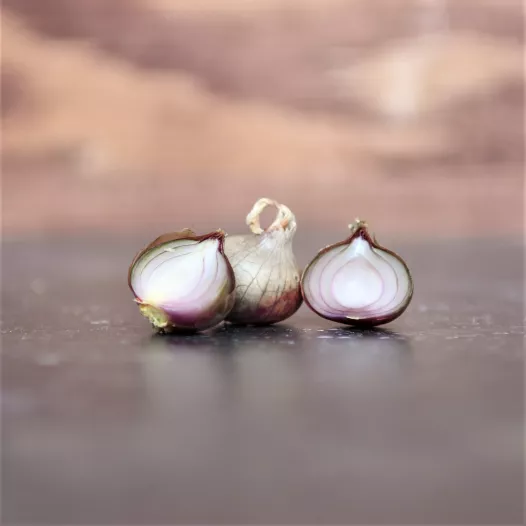 Oignon Rocambole - 10 bulbilles - Petit calibre Oignon Rocambole - 10 bulbilles - Petit calibre