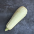 Courgette blanche d'Egypte