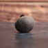 Rode biet Globe
