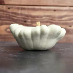 Pâtisson Blanc Pâtisson Blanc