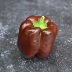Paprika Chocolat Paprika Chocolat