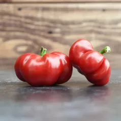 Peper Tomaat Peper Tomaat