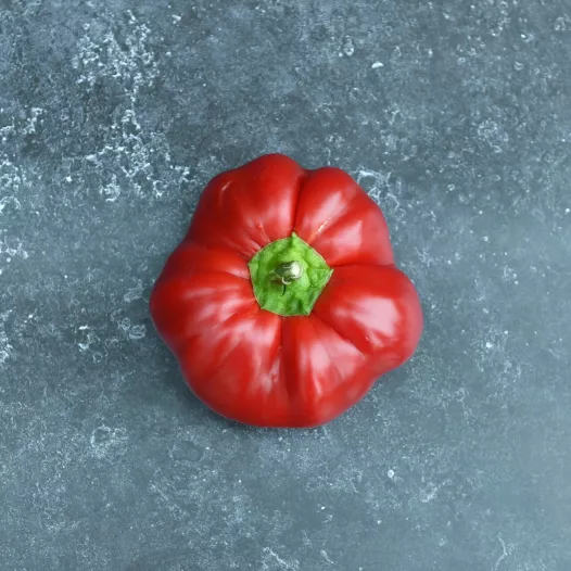 Piment Tomate Piment Tomate