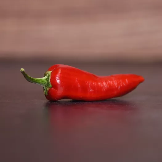 Piment Fish Pepper Piment Fish Pepper