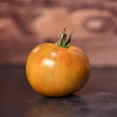 Tomate Bronze de Belgique Tomate Bronze de Belgique