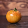 Tomate Bronze de Belgique