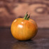 Tomate Bronze de Belgique