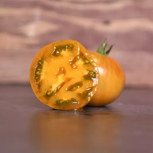 Tomate Bronze de Belgique