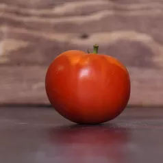 Tomate Merveille des marchés Tomate Merveille des marchés