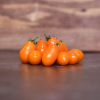 Tomate cerise Orangette