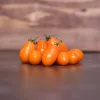 Tomate cerise Orangette